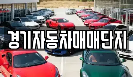 경기도 포천시 중고차 전문 경기자동차매매단지