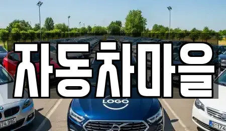 경기도 포천시 중고차 전문 자동차마을