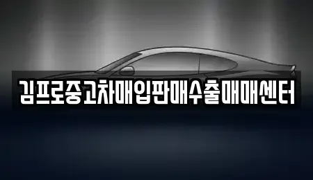 경기도 포천시 중고차매입 전문 김프로중고차매입판매수출매매센터