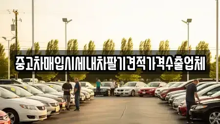 경기도 포천시 중고차매입 전문 중고차매입시세내차팔기견적가격수출업체