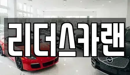 경기도 하남시 천현동 단기렌트카 전문 리더스카랜