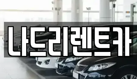 경기도 하남시 천현동 장기렌트카 전문 나드리렌트카