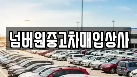 경기도 하남시 천현동 중고차매입 전문 넘버원중고차매입상사