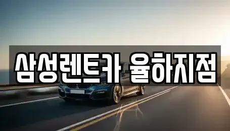경남 김해시 관동동 렌트카 전문 삼성렌트카 율하지점