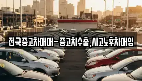 경남 김해시 관동동 중고차 전문 전국중고차매매-중고차수출,사고노후차매입