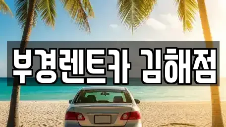 경남 김해시 삼계동 렌트카 전문 부경렌트카 김해점