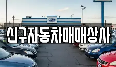 경남 김해시 응달동 중고차 전문 신구자동차매매상사