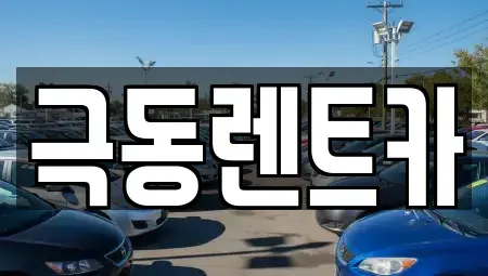 경남 밀양시 교동 렌트카 전문 극동렌트카