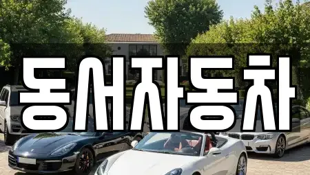 경남 밀양시 교동 중고차매매 전문 동서자동차