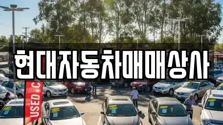 경남 밀양시 교동 중고차매매,단기렌트카,중고차매입,장기렌트카,중고차,렌트카