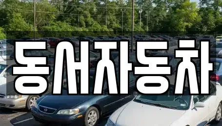 경남 사천시 서포면 단기렌트카,중고차매입,중고차매매,중고차,렌트카,장기렌트카