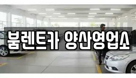 경남 양산시 교동 렌트카 전문 붐렌트카 양산영업소