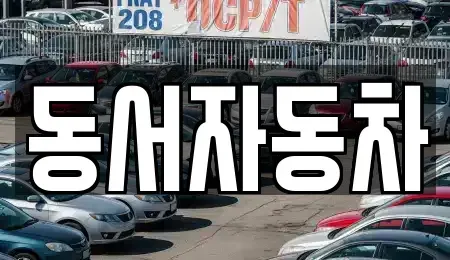 경남 양산시 교동 중고차매매 전문 동서자동차