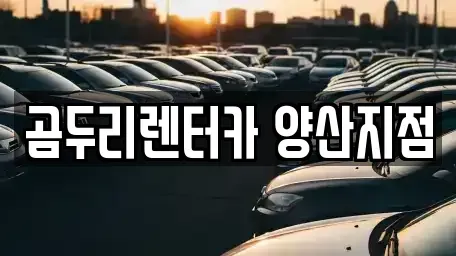 경남 양산시 동면 렌트카,단기렌트카,장기렌트카,중고차,중고차매매,중고차매입
