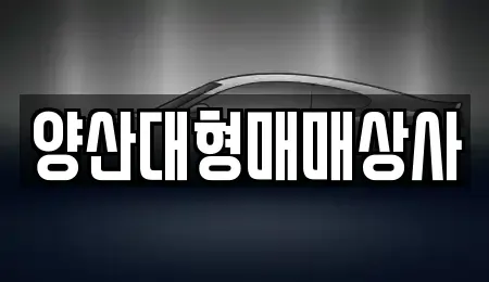 경남 양산시 동면 중고차 전문 양산대형매매상사