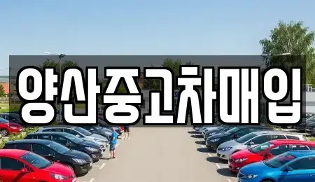 경남 양산시 동면 중고차매입 전문 양산중고차매입