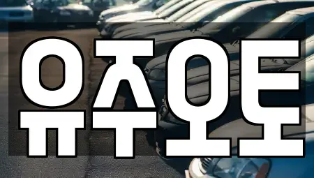 경남 양산시 동면 중고차매입 전문 유주오토