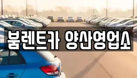 경남 양산시 신기동 렌트카 전문 붐렌트카 양산영업소