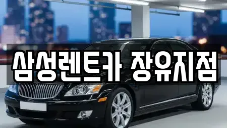 경남 창원시 단기렌트카 전문 삼성렌트카 장유지점