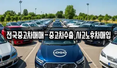 경남 창원시 마산합포구 신창동 중고차매입 전문 전국중고차매매-중고차수출,사고노후차매입
