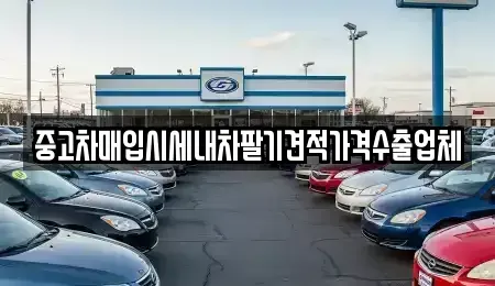 경남 통영시 동호동 중고차매입 전문 중고차매입시세내차팔기견적가격수출업체