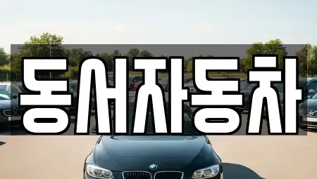 경남 함양군 병곡면 중고차 전문 동서자동차