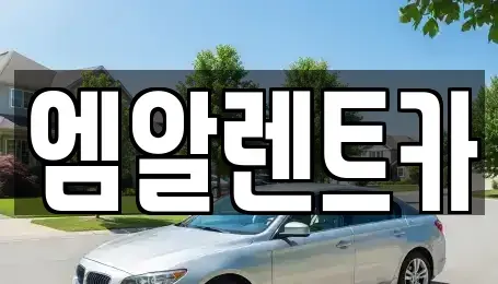 경북 경주시 렌트카 전문 엠알렌트카
