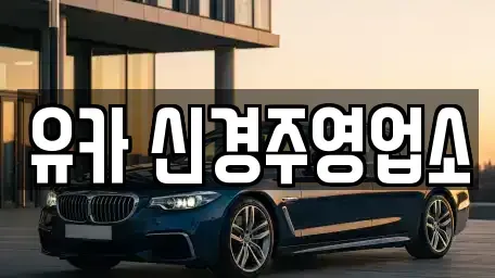경북 경주시 렌트카 전문 유카 신경주영업소