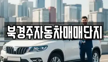 경북 경주시 중고차매매 전문 북경주자동차매매단지