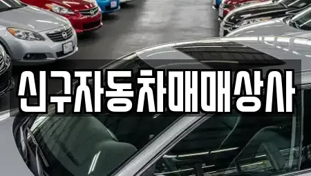 경북 경주시 중고차매매 전문 신구자동차매매상사