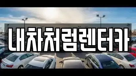 경북 고령군 성산면 렌트카 전문 내차처럼렌터카
