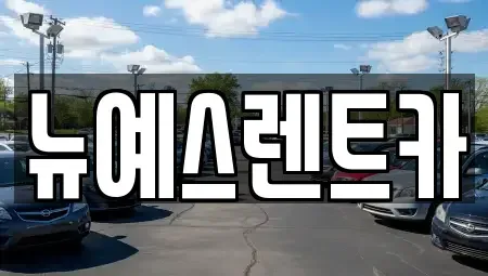 경북 고령군 성산면 렌트카 전문 뉴예스렌트카