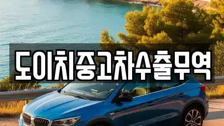 경북 고령군 성산면 중고차 전문 도이치중고차수출무역