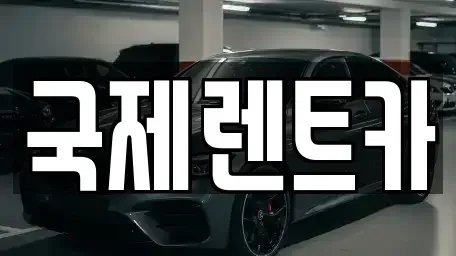 경북 구미시 도량동 렌트카 전문 국제렌트카