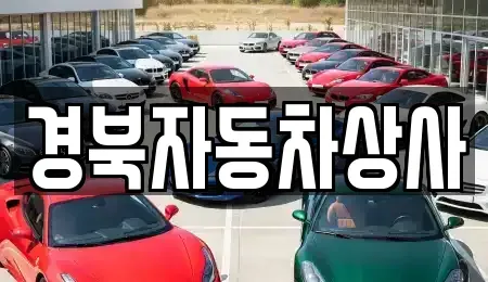 경북 구미시 도량동 중고차매매 전문 경북자동차상사
