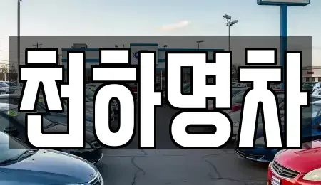 경북 구미시 도량동 중고차매매 전문 천하명차