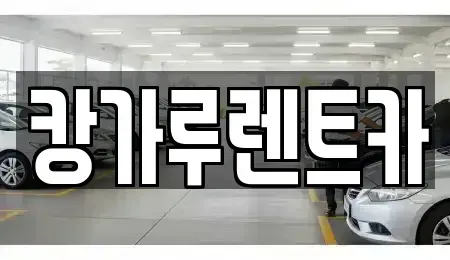 경북 구미시 신평동 렌트카 전문 캉가루렌트카
