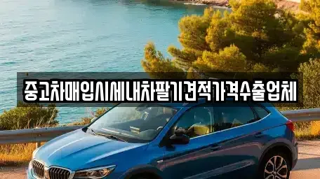 경북 구미시 신평동 중고차매입 전문 중고차매입시세내차팔기견적가격수출업체