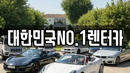 경북 상주시 가장동 렌트카 전문 대한민국NO.1렌터카