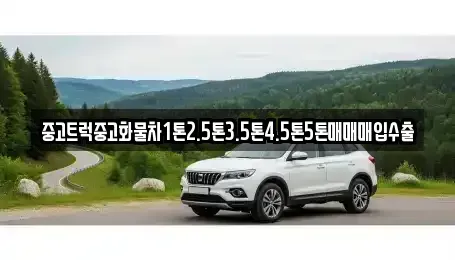 경북 상주시 오대동 중고차매매 전문 중고트럭중고화물차1톤2.5톤3.5톤4.5톤5톤매매매입수출