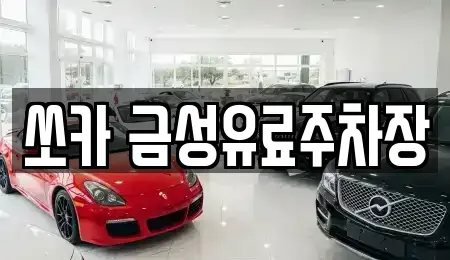 경북 안동시 정상동 렌트카 전문 쏘카 금성유료주차장