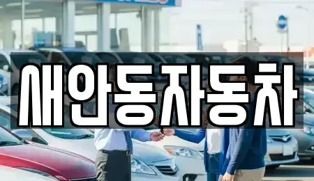 경북 안동시 풍산읍 중고차 전문 새안동자동차