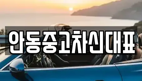 경북 안동시 풍산읍 중고차 전문 안동중고차신대표