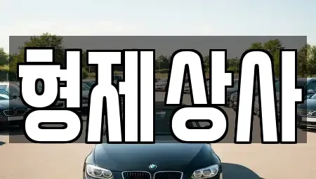 경북 안동시 풍산읍 중고차 전문 형제상사