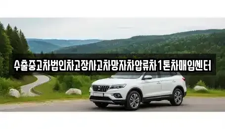 경북 안동시 풍산읍 중고차매입 전문 수출중고차법인차고장사고차망자차압류차1톤차매입센터