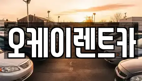 경북 영천시 망정동 렌트카 전문 오케이렌트카