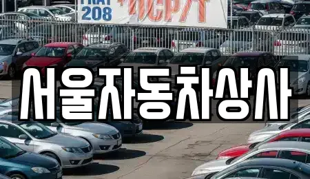 경북 영천시 망정동 중고차매매 전문 서울자동차상사