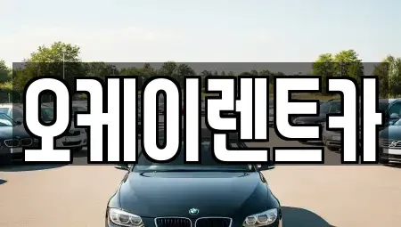 경북 영천시 신기동 렌트카 전문 오케이렌트카