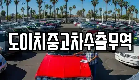 경북 영천시 신기동 중고차매매,단기렌트카,중고차매입,장기렌트카,중고차,렌트카