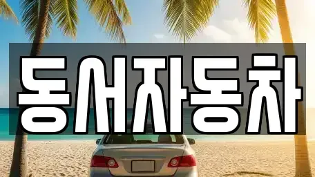 경북 영천시 신기동 중고차매매 전문 동서자동차